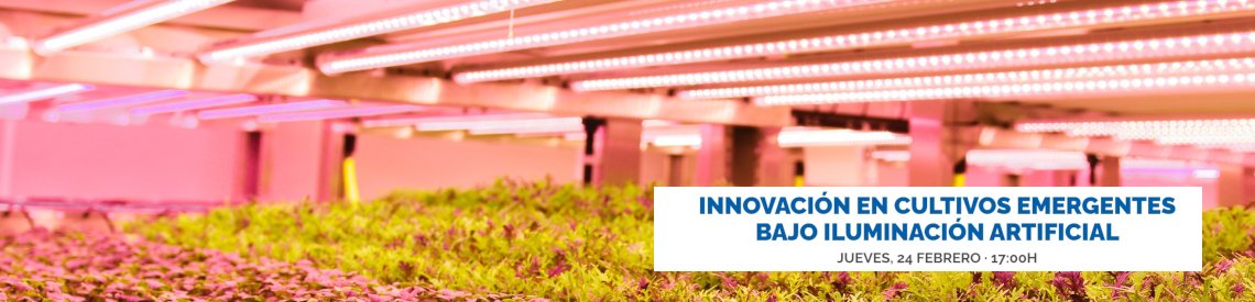 Evento innovación en cultivos emergentes bajo iluminación artificial.