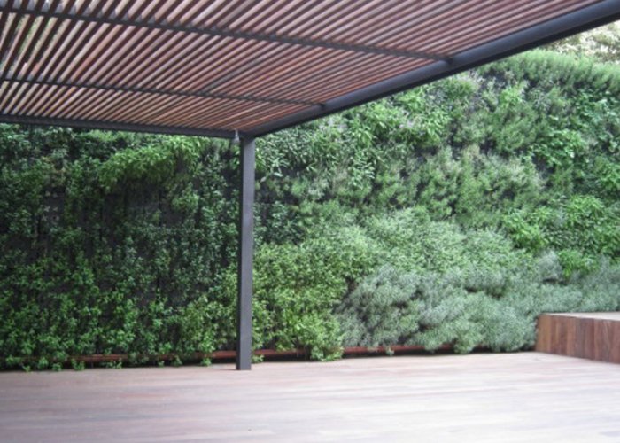 Jardín vertical modular plantas aromáticas